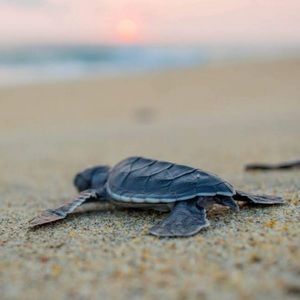 Meet your Posher, Jaquelyn